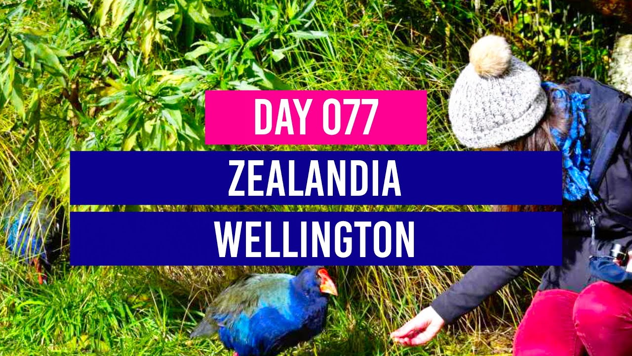 zealandia dawn tour