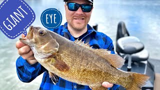 Early Spring 2020 susquehanna river fishing