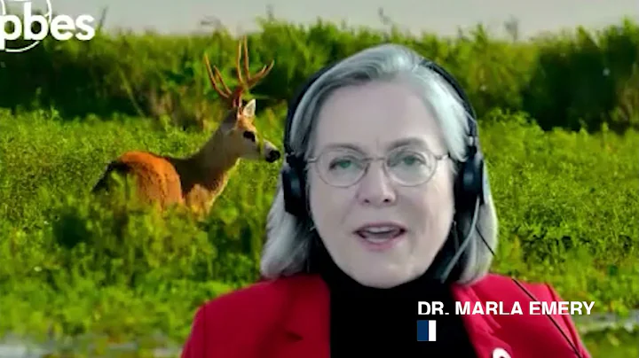 #IPBES8 Assessment of the sustainable use of wild species