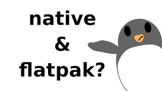 Difference between native and flatpak apps