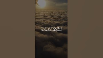 Surah Al-Maa'oon - سورة الماعون ; عبدالرحمن مسعد Abdulrahman Mas'od