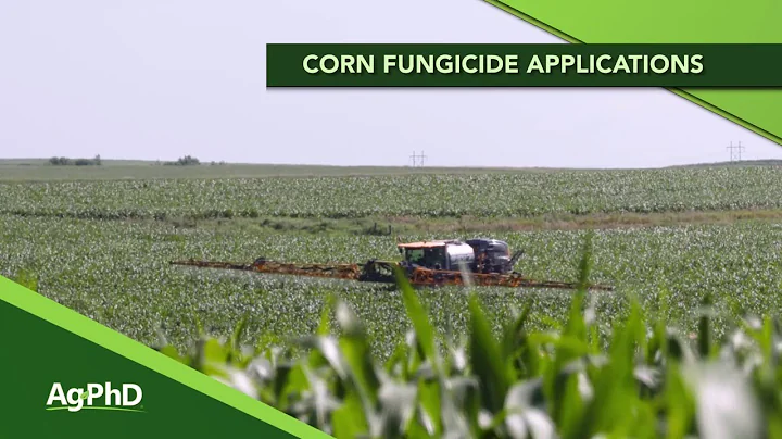 Corn Fungicides Applications (From Ag PhD #1153 - Air Date 5-10-20)