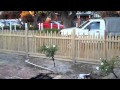 Pine Picket Fence & Gates Pine Picket Fence & Gates