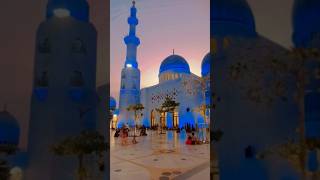 Beshak Subhanallah!! 🤲💗 #subhanallah #allahuakbar #alhamdulillah #shorts #shortvideo #shortsfeed