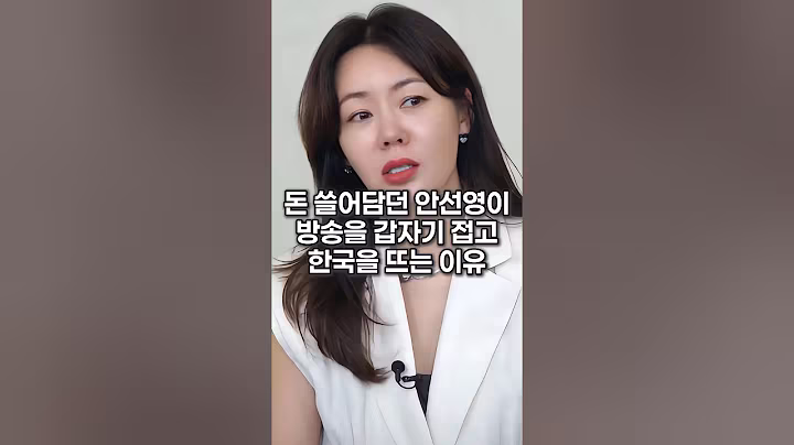 돈 쓸어담던 안선영이 방송을 갑자기 접고 한국을 뜨는 이유