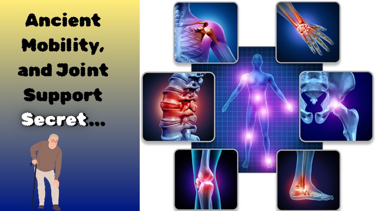 MobilityMD Review – Improve Flexibility & Joint Comfort Naturally