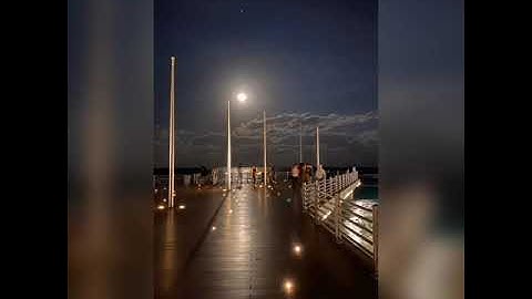 سورة فصلت للقارئ إسلام صبحي