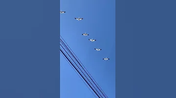 Стерхи над Момой. К счастью!