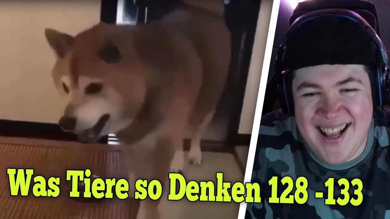 Was Tiere So Denken 128 - 133 | REAKTION