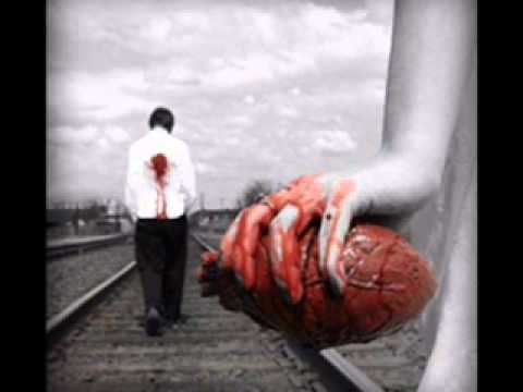 حامد زيد أهل الجنوب روووووووعة