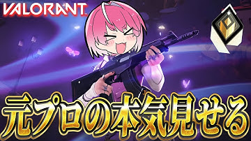 【VALORANT】元プロゲーマーの俺が本気でランクする【すとぷり】【騎士X】【アンプタック】【めておら】【すにすて】