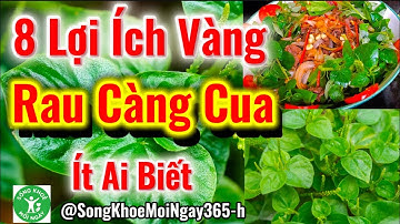 8 Công Dụng Không Ngờ Của Rau Càng Cua Cho Sức Khoẻ! #songkhoe #dinhduong #health #sứckhỏe 
