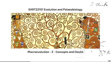 Macroevolution, Video 2 - EART22101 - Palaeobiology and Evolution - 2025
