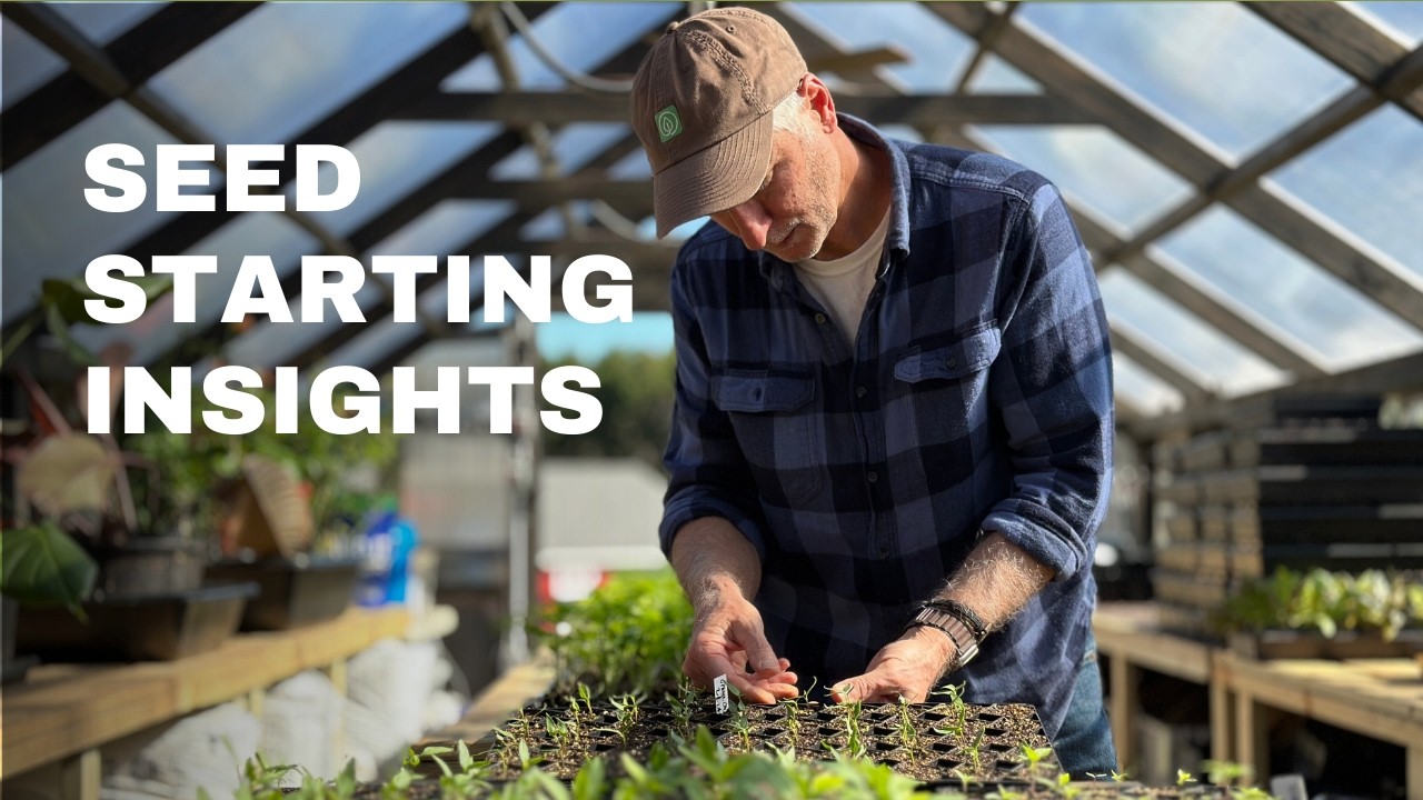 Разумные решения по посеву семян в этом сезоне