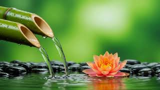 Soothing Serenity – Harmonious Meditation Music for Stress Relief, Healing and Relaxation