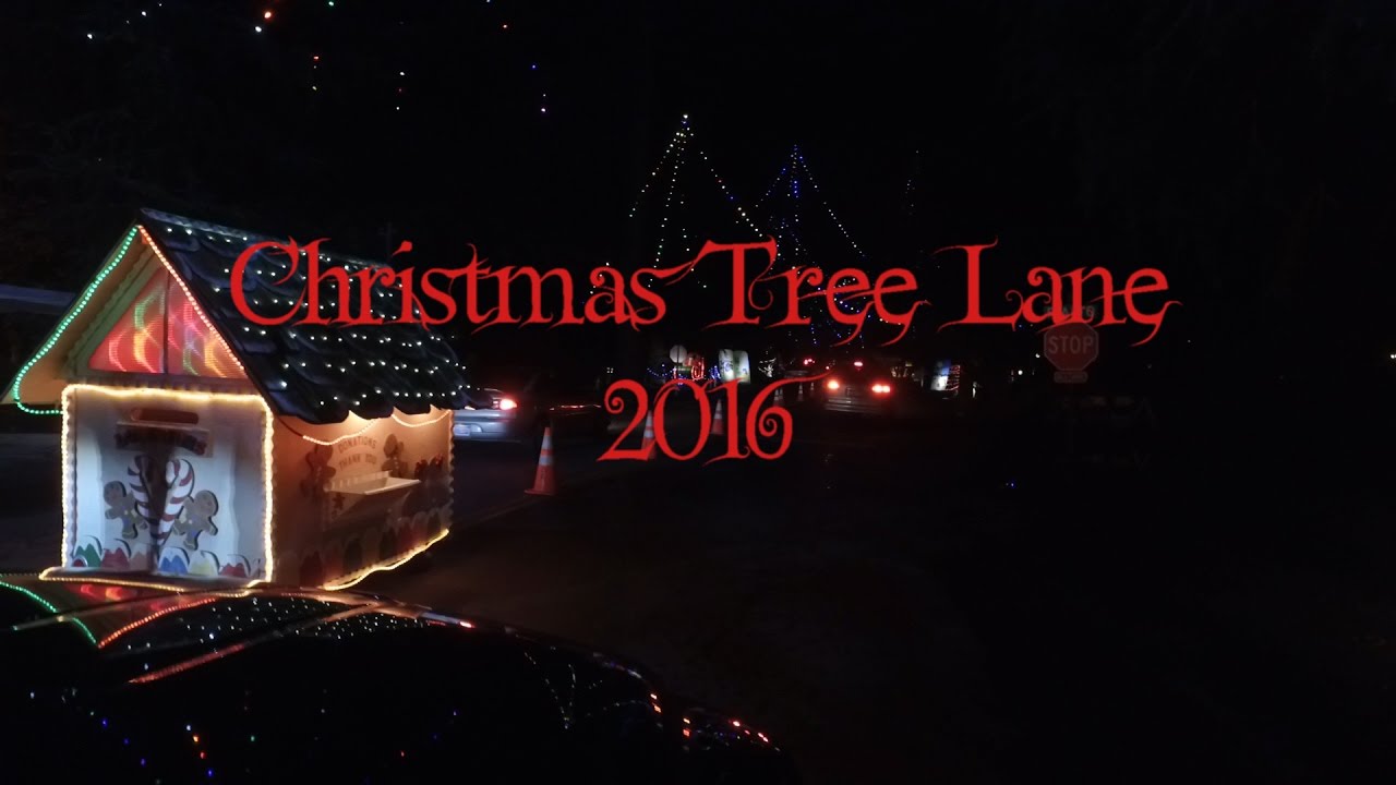 Christmas Tree Lane 2016 YouTube