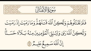 سورة الأنفال الآية 17