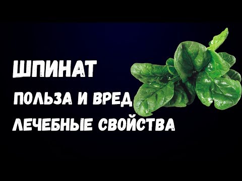 Шпинат Польза и Вред Лечебные Свойства