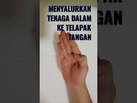 Video: Bagaimanakah cara saya melumpuhkan Pam?