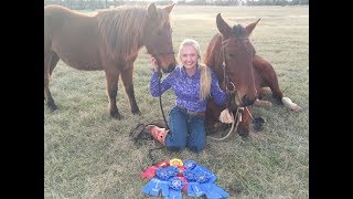 Horse Show! // Series #1 - January 2019!