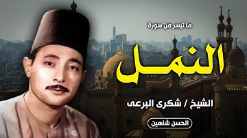 أجمل وأشهر ما قرأ الشيخ شكري البرعي | سورة النمل | جودة حصرية HD