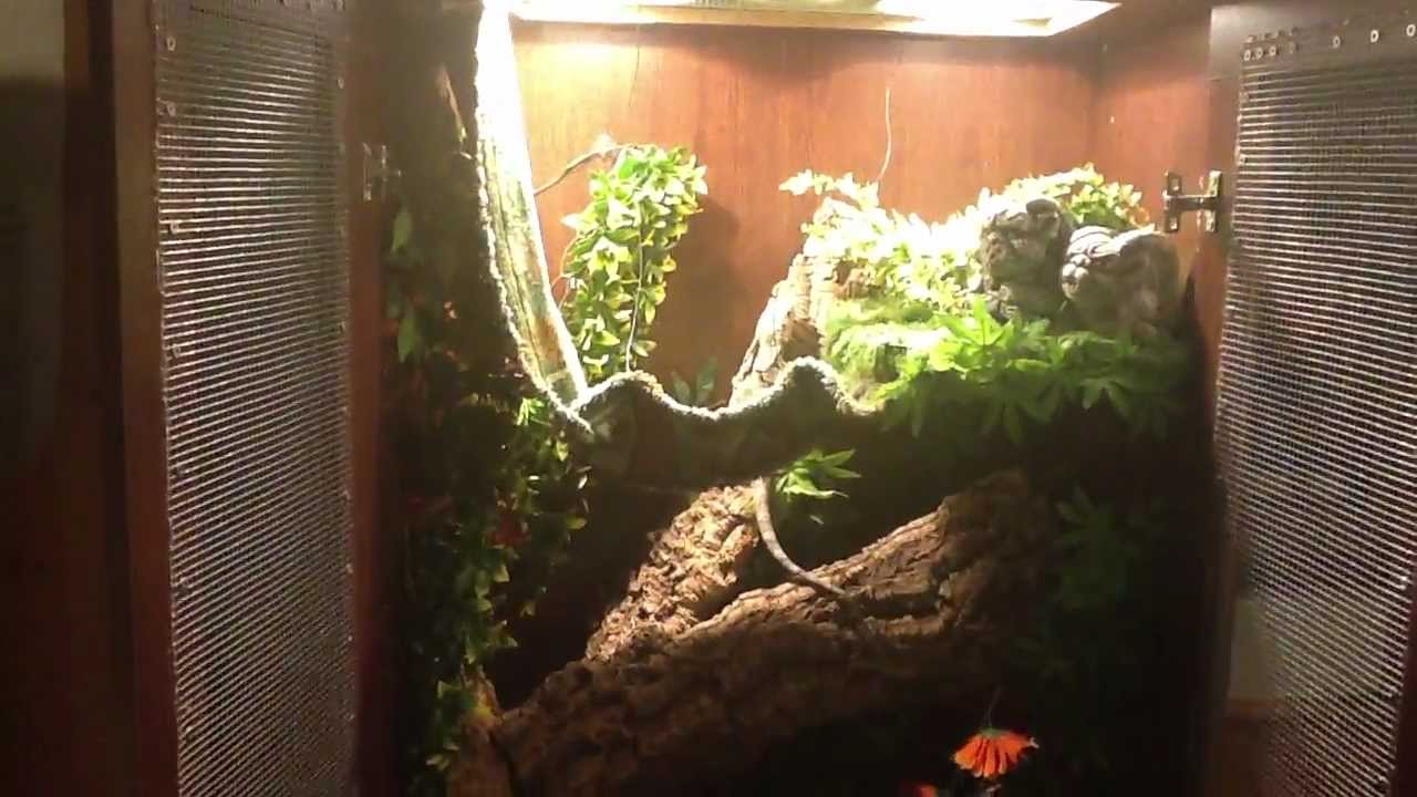 indoor vegetable growing area & my reptiles! YouTube