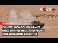 Chinese mongolian armies hold livefire drill to improve collaboration capacities