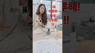 뷰티학원 강사 강아지!!~ 오늘강의는 너무 지루해!!! #펫일상#강아지#애견영상 #반려견