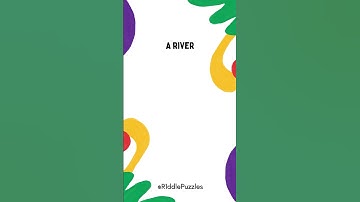 What has a bed but never sleeps?