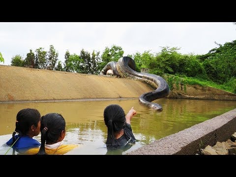 Бейне: Колумбиялық Амазонкадағы Tres Fronteras