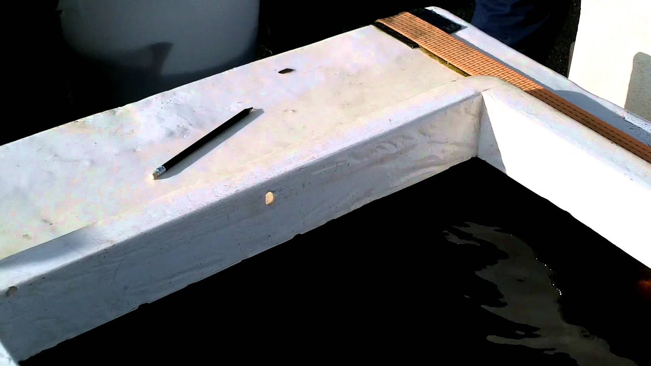 collecting broodstock salmon on the river Tyne with the environment