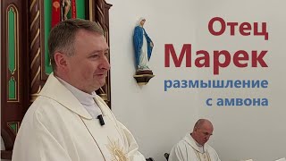 видео: картинка: