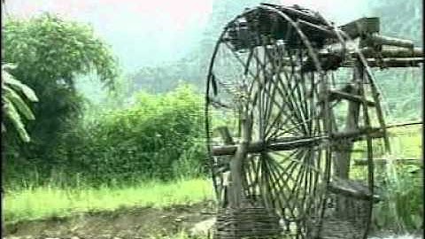 Vũ điệu núi rừng con Cuông | Em về làm Dâu núi rừng | Thu Hoàng | Flag Media