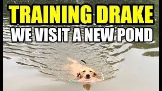 Training Drake_Eps 8_We Visit A New Pond