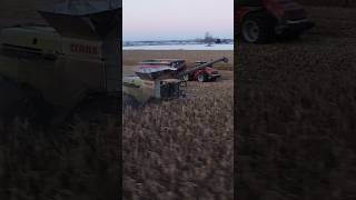 License to kill a drone. #shorts #farming #tractor