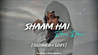 Shaam Hai Dhuan Dhuan | Diljale | Ajay Devgan | Slowed LoFi | Full Song