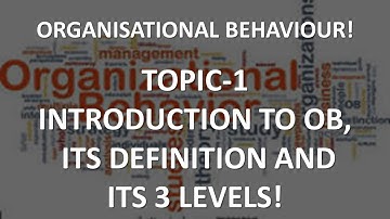 Organisational Behaviour, Why is it important, it’s Definition and its Three Levels!