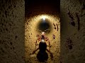 POV: Inside an Ant Colony 👑🐜 | Queen Ant Micro Camera Exploration