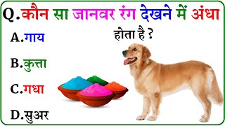 Gk Question Gk In Hindi Gk Question And Answer Gk Quiz