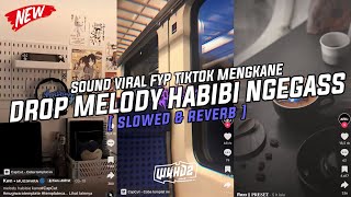 Dj Drop Melody Habibi Ngegas ( Slowed & Reverb ) Viral Fyp Tiktok Mengkane Full Bass🎧