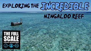 Exploring The INCREDIBLE Ningaloo Reef | The Full Scale