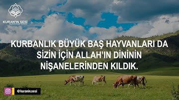 "ولكل أمة جعلنا منسكاً" سورة الحج SURAH AL-HAJJ Türkçe'ye çevirisi ile. #عبدالولي_الاركاني