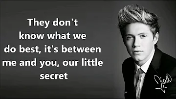 One Direction  They Don't Know About Us Lyrics and Pictures