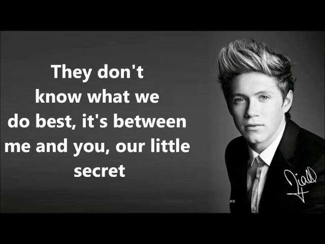One Direction  They Don't Know About Us Lyrics and Pictures class=
