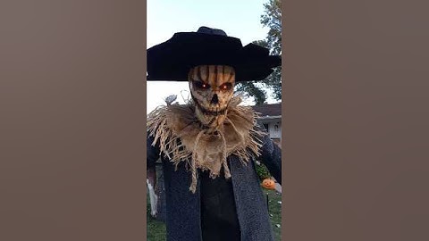 Halloween Yard Display #scaryscarecrow #halloween #scary #spooky #scarecrow #halloweendecorations