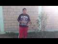 LOS ÃRBOLES FRUTALES