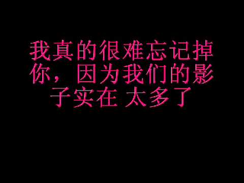 不管怎样都等你❤