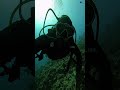 Every dive reminds us why we fell in love with the ocean #scuba #scubadiving #lakshadweep