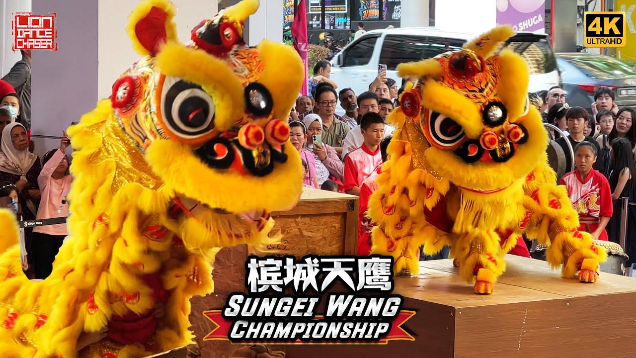 Penang Tian Eng 槟城天鹰 - 3rd Sungei Wang Plaza Lion Dance Competition 第三届 ...