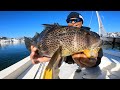 2024 newport bay spotted bay bass tournament by melton tackle prefishing